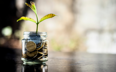 Cómo elegir el capital social adecuado para tu sociedad limitada